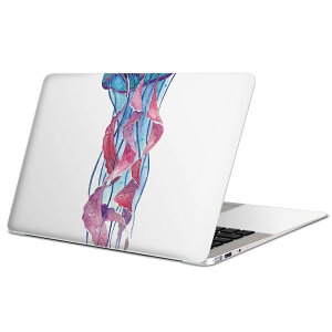 MacBook �p �X�L���V�[�� �}�b�N�u�b�N 13�C���` �` 16�C���` MacBook Pro / MacBook Air �e��Ή� �m�[�g�p�\�R�� �J�o�[ �P�[�X �t�B���� �X�e�b�J�[ �A�N�Z�T���[ �ی� 018996 �C���X�g �N���Q