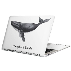 MacBook p XLV[ }bNubN 13C` ` 16C` MacBook Pro / MacBook Air eΉ m[gp\R Jo[ P[X tB XebJ[ ANZT[ ی 019740 fUC C̐ UgE