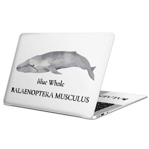 MacBook �p �X�L���V�[�� �}�b�N�u�b�N 13�C���` �` 16�C���` MacBook Pro / MacBook Air �e��Ή� �m�[�g�p�\�R�� �J�o�[ �P�[�X �t�B���� �X�e�b�J�[ �A�N�Z�T���[ �ی� 019741 �f�U�C�� �C�̐��� �V���i