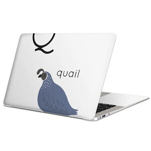 MacBook �p �X�L���V�[�� �}�b�N�u�b�N 13�C���` �` 16�C���` MacBook Pro / MacBook Air �e��Ή� �m�[�g�p�\�R�� �J�o�[ �P�[�X �t�B���� �X�e�b�J�[ �A�N�Z�T���[ �ی� 019949 ���� �A���t�@�x�b�g Q quai
