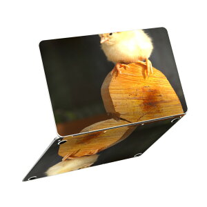 MacBook Neo 13�C���` �X�L���V�[�� �S�� �ی� �������� �J�o�[ �X�e�b�J�[ �m�[�gPC ������� �\�邾�� ���h�~ igsticker �q���R�@�n�[�g