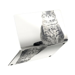 MacBook Neo 13�C���` �X�L���V�[�� �S�� �ی� �������� �J�o�[ �X�e�b�J�[ �m�[�gPC ������� �\�邾�� ���h�~ igsticker �L�@�����@�ʐ^