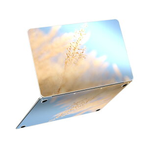 MacBook Neo 13�C���` �X�L���V�[�� �S�� �ی� �������� �J�o�[ �X�e�b�J�[ �m�[�gPC ������� �\�邾�� ���h�~ igsticker �ʐ^�@�i�F�@�p���p�X�O���X