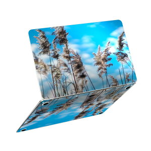 MacBook Neo 13�C���` �X�L���V�[�� �S�� �ی� �������� �J�o�[ �X�e�b�J�[ �m�[�gPC ������� �\�邾�� ���h�~ igsticker �ʐ^�@�i�F�@�p���p�X�O���X