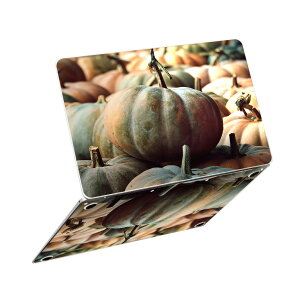 MacBook Neo 13�C���` �X�L���V�[�� �S�� �ی� �������� �J�o�[ �X�e�b�J�[ �m�[�gPC ������� �\�邾�� ���h�~ igsticker ���ڂ���@�n���E�B���@�ʐ^