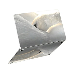 MacBook Neo 13�C���` �X�L���V�[�� �S�� �ی� �������� �J�o�[ �X�e�b�J�[ �m�[�gPC ������� �\�邾�� ���h�~ igsticker �����@����
