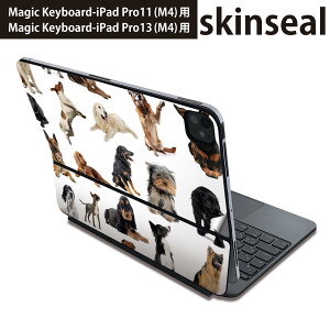 }WbNL[{[h p XLV[ 11C` 13C` iPad Pro11(M4) iPad Pro13(M4)p 2024N 5 Magic Keyboard Ή O w یV[ lC @ 000911