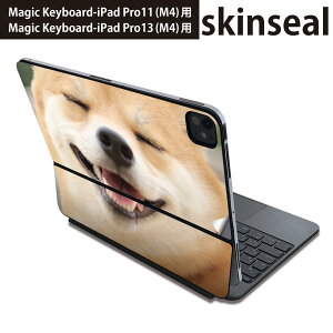 }WbNL[{[h p XLV[ 11C` 13C` iPad Pro11(M4) iPad Pro13(M4)p 2024N 5 Magic Keyboard Ή O w یV[ lC @Č 000926