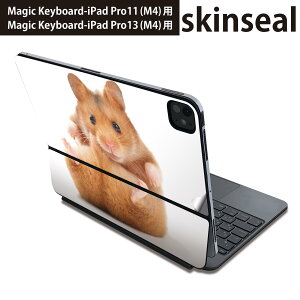 }WbNL[{[h p XLV[ 11C` 13C` iPad Pro11(M4) iPad Pro13(M4)p 2024N 5 Magic Keyboard Ή O w یV[ lC nX^[@ 001075