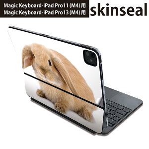 }WbNL[{[h p XLV[ 11C` 13C` iPad Pro11(M4) iPad Pro13(M4)p 2024N 5 Magic Keyboard Ή O w یV[ lC @ 001112