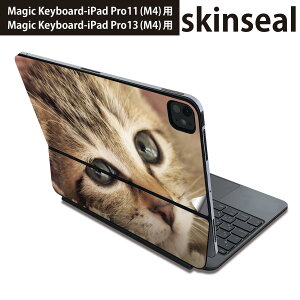 �}�W�b�N�L�[�{�[�h �p �X�L���V�[�� 11�C���` 13�C���` iPad Pro11(M4) iPad Pro13(M4)�p 2024�N���� ��5���� Magic Keyboard �Ή� �O�� �w�� �ی�V�[�� �l�C �l�R�@���� 001172