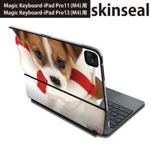 }WbNL[{[h p XLV[ 11C` 13C` iPad Pro11(M4) iPad Pro13(M4)p 2024N 5 Magic Keyboard Ή O w یV[ lC @ 001242