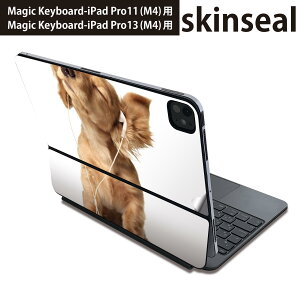 }WbNL[{[h p XLV[ 11C` 13C` iPad Pro11(M4) iPad Pro13(M4)p 2024N 5 Magic Keyboard Ή O w یV[ lC @_bNXtg@ 001245