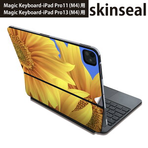 }WbNL[{[h p XLV[ 11C` 13C` iPad Pro11(M4) iPad Pro13(M4)p 2024N 5 Magic Keyboard Ή O w یV[ lC Ђ܂ 001397