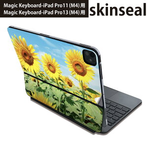 }WbNL[{[h p XLV[ 11C` 13C` iPad Pro11(M4) iPad Pro13(M4)p 2024N 5 Magic Keyboard Ή O w یV[ lC ԁ@Ђ܂@ʐ^ 002501