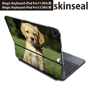 }WbNL[{[h p XLV[ 11C` 13C` iPad Pro11(M4) iPad Pro13(M4)p 2024N 5 Magic Keyboard Ή O w یV[ lC @@ʐ^ 002580