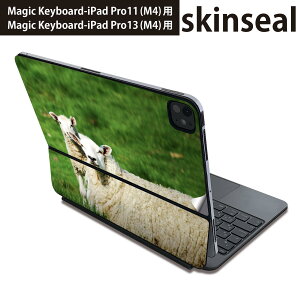 �}�W�b�N�L�[�{�[�h �p �X�L���V�[�� 11�C���` 13�C���` iPad Pro11(M4) iPad Pro13(M4)�p 2024�N���� ��5���� Magic Keyboard �Ή� �O�� �w�� �ی�V�[�� �l�C �Ђ��@�����@�ʐ^ 002585