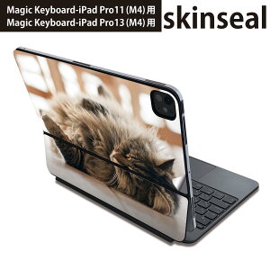 }WbNL[{[h p XLV[ 11C` 13C` iPad Pro11(M4) iPad Pro13(M4)p 2024N 5 Magic Keyboard Ή O w یV[ lC L@@ʐ^ 002601