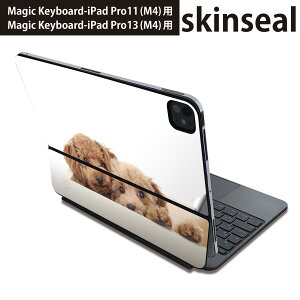 }WbNL[{[h p XLV[ 11C` 13C` iPad Pro11(M4) iPad Pro13(M4)p 2024N 5 Magic Keyboard Ή O w یV[ lC @@ʐ^ 002770