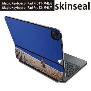 }WbNL[{[h p XLV[ 11C` 13C` iPad Pro11(M4) iPad Pro13(M4)p 2024N 5 Magic Keyboard Ή O w یV[ lC @V[T[@ʐ^ 002774
