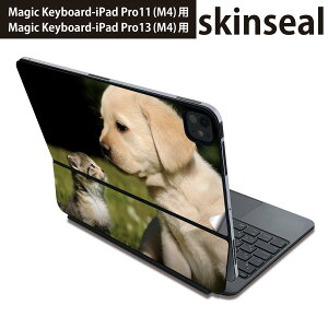 }WbNL[{[h p XLV[ 11C` 13C` iPad Pro11(M4) iPad Pro13(M4)p 2024N 5 Magic Keyboard Ή O w یV[ lC @L@@ʐ^ 002794