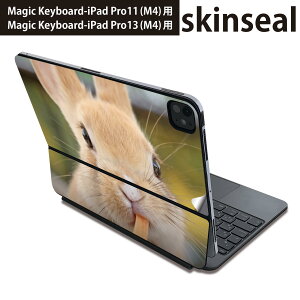}WbNL[{[h p XLV[ 11C` 13C` iPad Pro11(M4) iPad Pro13(M4)p 2024N 5 Magic Keyboard Ή O w یV[ lC @@ʐ^ 002807