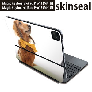 }WbNL[{[h p XLV[ 11C` 13C` iPad Pro11(M4) iPad Pro13(M4)p 2024N 5 Magic Keyboard Ή O w یV[ lC @@ʐ^ 002852