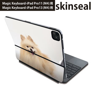 }WbNL[{[h p XLV[ 11C` 13C` iPad Pro11(M4) iPad Pro13(M4)p 2024N 5 Magic Keyboard Ή O w یV[ lC @@ʐ^ 002912