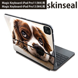 }WbNL[{[h p XLV[ 11C` 13C` iPad Pro11(M4) iPad Pro13(M4)p 2024N 5 Magic Keyboard Ή O w یV[ lC @ʐ^ 022868