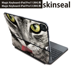}WbNL[{[h p XLV[ 11C` 13C` iPad Pro11(M4) iPad Pro13(M4)p 2024N 5 Magic Keyboard Ή O w یV[ lC L@˂@@ʐ^ 023078