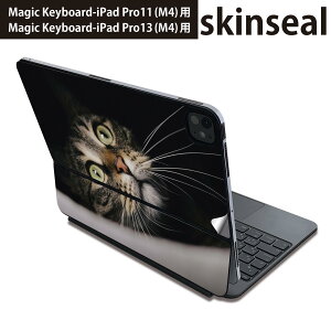 }WbNL[{[h p XLV[ 11C` 13C` iPad Pro11(M4) iPad Pro13(M4)p 2024N 5 Magic Keyboard Ή O w یV[ lC L@˂@@ʐ^ 023089