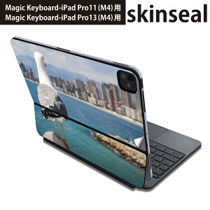 }WbNL[{[h p XLV[ 11C` 13C` iPad Pro11(M4) iPad Pro13(M4)p 2024N 5 Magic Keyboard Ή O w یV[ lC @@C 023777