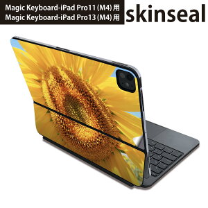 }WbNL[{[h p XLV[ 11C` 13C` iPad Pro11(M4) iPad Pro13(M4)p 2024N 5 Magic Keyboard Ή O w یV[ lC ԁ@t[@Ђ܂ 023849