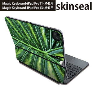 }WbNL[{[h p XLV[ 11C` 13C` iPad Pro11(M4) iPad Pro13(M4)p 2024N 5 Magic Keyboard Ή O w یV[ lC Xe@t 023931