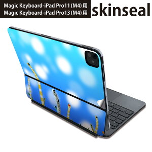 }WbNL[{[h p XLV[ 11C` 13C` iPad Pro11(M4) iPad Pro13(M4)p 2024N 5 Magic Keyboard Ή O w یV[ lC `AiS@C@ 025640