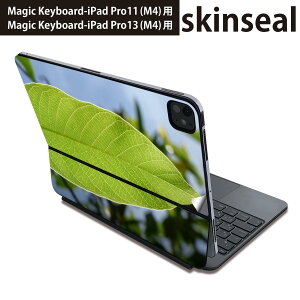 }WbNL[{[h p XLV[ 11C` 13C` iPad Pro11(M4) iPad Pro13(M4)p 2024N 5 Magic Keyboard Ή O w یV[ lC A@t@ 025900