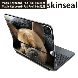 }WbNL[{[h p XLV[ 11C` 13C` iPad Pro11(M4) iPad Pro13(M4)p 2024N 5 Magic Keyboard Ή O w یV[ lC @@t`uhbO 025947