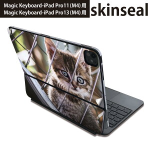 }WbNL[{[h p XLV[ 11C` 13C` iPad Pro11(M4) iPad Pro13(M4)p 2024N 5 Magic Keyboard Ή O w یV[ lC @L@lR@ԗ 025949