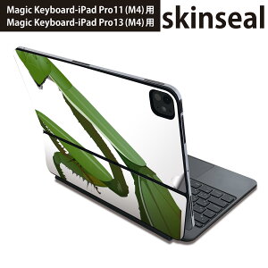 }WbNL[{[h p XLV[ 11C` 13C` iPad Pro11(M4) iPad Pro13(M4)p 2024N 5 Magic Keyboard Ή O w یV[ lC @J}L 026234