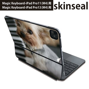 }WbNL[{[h p XLV[ 11C` 13C` iPad Pro11(M4) iPad Pro13(M4)p 2024N 5 Magic Keyboard Ή O w یV[ lC @ʐ^@sAm 004565