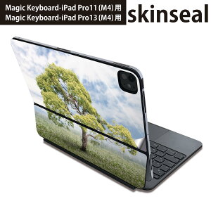 }WbNL[{[h p XLV[ 11C` 13C` iPad Pro11(M4) iPad Pro13(M4)p 2024N 5 Magic Keyboard Ή O w یV[ lC ؁@@ʐ^ 004647