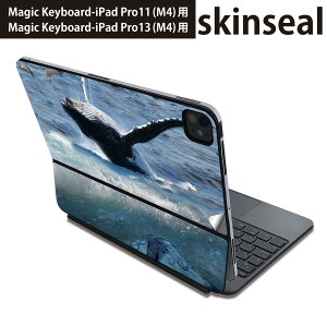 �}�W�b�N�L�[�{�[�h �p �X�L���V�[�� 11�C���` 13�C���` iPad Pro11(M4) iPad Pro13(M4)�p 2024�N���� ��5���� Magic Keyboard �Ή� �O�� �w�� �ی�V�[�� �l�C �C�@�~�@�ʐ^ 004897