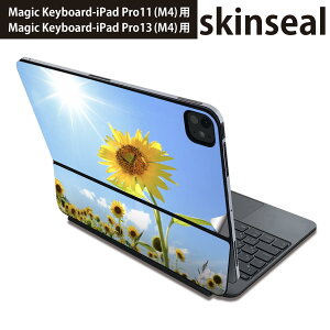 }WbNL[{[h p XLV[ 11C` 13C` iPad Pro11(M4) iPad Pro13(M4)p 2024N 5 Magic Keyboard Ή O w یV[ lC Ђ܂@ʐ^@z 005089