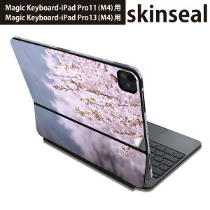 }WbNL[{[h p XLV[ 11C` 13C` iPad Pro11(M4) iPad Pro13(M4)p 2024N 5 Magic Keyboard Ή O w یV[ lC ԁ@؁@ʐ^@ 005163