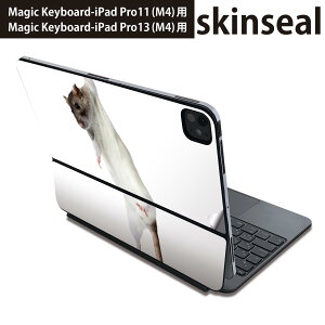 �}�W�b�N�L�[�{�[�h �p �X�L���V�[�� 11�C���` 13�C���` iPad Pro11(M4) iPad Pro13(M4)�p 2024�N���� ��5���� Magic Keyboard �Ή� �O�� �w�� �ی�V�[�� �l�C �ʐ^�@�����@�˂��� 005911