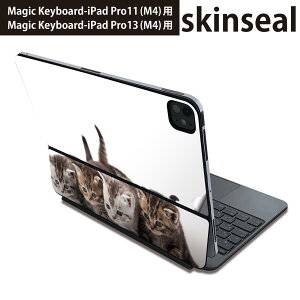 }WbNL[{[h p XLV[ 11C` 13C` iPad Pro11(M4) iPad Pro13(M4)p 2024N 5 Magic Keyboard Ή O w یV[ lC ʐ^@@L@˂ 005928