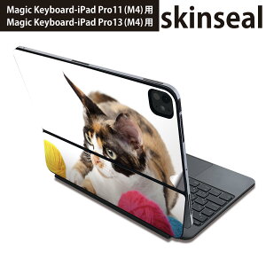 }WbNL[{[h p XLV[ 11C` 13C` iPad Pro11(M4) iPad Pro13(M4)p 2024N 5 Magic Keyboard Ή O w یV[ lC ʐ^@@L@˂ 005939