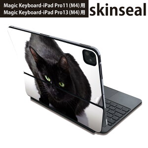 �}�W�b�N�L�[�{�[�h �p �X�L���V�[�� 11�C���` 13�C���` iPad Pro11(M4) iPad Pro13(M4)�p 2024�N���� ��5���� Magic Keyboard �Ή� �O�� �w�� �ی�V�[�� �l�C �ʐ^�@�����@�˂��@�L 005958