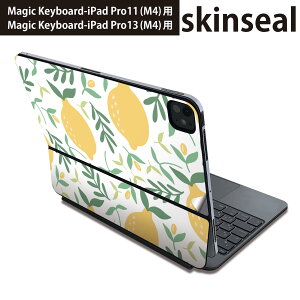 �}�W�b�N�L�[�{�[�h �p �X�L���V�[�� 11�C���` 13�C���` iPad Pro11(M4) iPad Pro13(M4)�p 2024�N���� ��5���� Magic Keyboard �Ή� �O�� �w�� �ی�V�[�� �l�C 050207