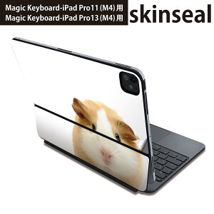 }WbNL[{[h p XLV[ 11C` 13C` iPad Pro11(M4) iPad Pro13(M4)p 2024N 5 Magic Keyboard Ή O w یV[ lC ʐ^@@nX^[ 006036